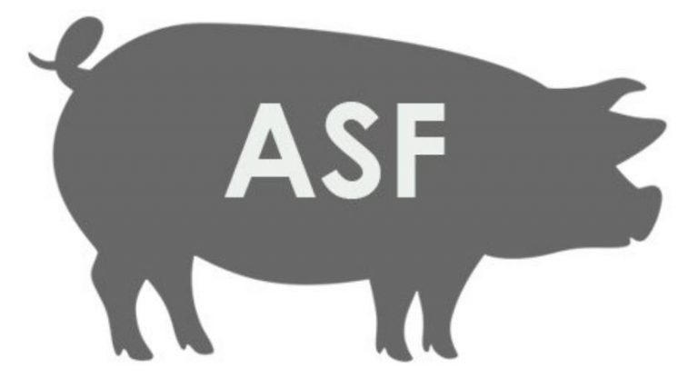 ASF afrykański pomór świń asf eko eko-nawozy ekologiczne ekologiczny nawóz nawozy preparat preparaty środki dezynfekcja dezynfekujące bio